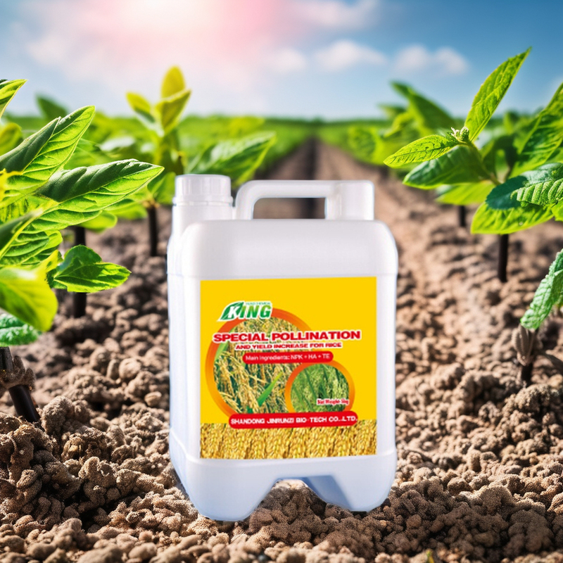 Liquid Multi Micronutrients Fertilizer with Boron