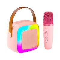 Karaoké portable transfrontalier à modèle privé pour haut-parleur KTV, avec basses profondes, lumières LED RGB et microphone sans fil en ABS