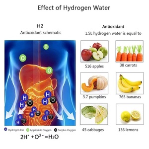 Generador de Agua Hidrogenada Portátil de Alta Gama, Recargable por USB, Apagado Automático, UV Azul, Acero Inoxidable, para RV y Hogar - Product Image 3