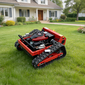 Cortacésped Eléctrico Multifuncional con Control Remoto, de 4 Tiempos, para Diversos Escenarios, Hecho en China - Product Image 2