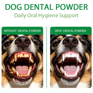 Poudre dentaire pour chiens OEM/ODM à succès avec mélange de plantes naturelles et probiotiques pour une haleine fraîche, l'élimination du tartre et de la plaque dentaire - Product Image 5