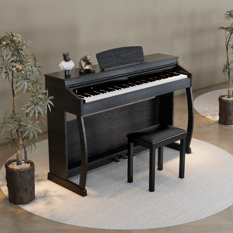 เก้าอี้เดี่ยวสีดำ