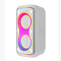 Nouvelle Arrivée Enceinte Portable 2026 Blanche pour Fêtes d'Anniversaire, Machine de Karaoké Puissante, avec Woofer, Tweeter et Prise en Charge DSP