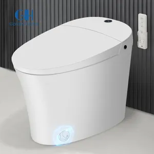 Smart Toilet Dual-Flush Elongated Toilet Bidet Warm Water Clear Auto Flush Tankless One-Piece Bidet Water Closet Toilet