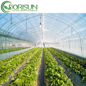 Serre en acier galvanisé à la <span class=keywords><strong>tomate</strong></span> Vente verte Serre agricole Film Agricole Tunnel en plastique Serre en feuille - Product Image 5