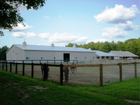 Grange pour chevaux Ferme Moutons Grange à chèvres Structure en acier préfabriquée Hangar d'élevage de vaches