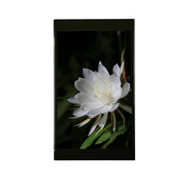 Disesuaikan modul Display LCD TFT 2.4 "-10.1" dengan pengontrol ST7789 antarmuka MIPi RGB dari produsen layar LCD yang diakui