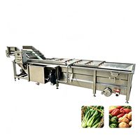 Hogedrukreiniging RVS 304 belletjeswasmachine voor het reinigen van fruit en groenten