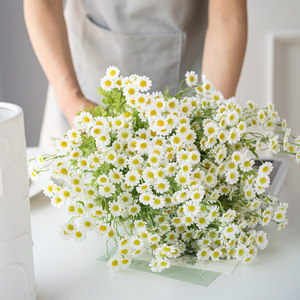 Fleurs artificielles de camomille et de marguerite Late Elm, pétales en coton blanc, décoration de table, arrangements floraux, accessoires photo - Product Image 3