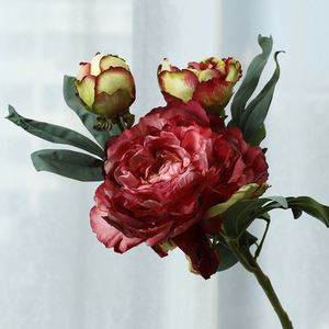 Fleur artificielle pivoine à 28 couches avec bords brûlés, <span class=keywords><strong>d</strong></span>écoration haut de gamme pour salon, fausse fleur <span class=keywords><strong>d</strong></span>écorative, vente en gros pour mariages - Product Image 1
