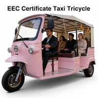 Tricycle électrique certifié EEC pour 6 passagers, auto-rickshaw électrique, batterie LiPO4 72V 250Ah, vitesse maximale de 45 km/h