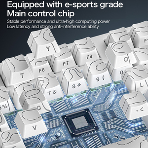 Tấn <span class=keywords><strong>C</strong></span>ông <span class=keywords><strong>C</strong></span>á Mập R82he Từ Chuyển Đổi Bàn Phím <span class=keywords><strong>C</strong></span>ó Dây 0.005Mmrt 8Khz 0.08MS Độ Trễ Thấp Chơi Game Bàn Phím Cho Csgo/LoL/<span class=keywords><strong>Overwatch</strong></span> - Product Image 6