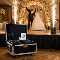 Machine à étincelles froides électroniques en aluminium, 3 vitesses réglables, machine à étincelles DMX, 4 pièces avec étui pour mariage, spectacle sur scène, bar, club