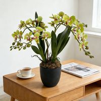 Harga Grosir Murah Dekorasi Meja Desain Interior Anggrek Plastik Bonsai Dekorasi Rumah Kantor Hotel Bunga Anggrek Buatan