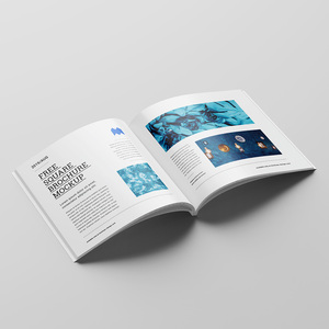 <span class=keywords><strong>Brochure</strong></span> et catalogue d'entreprise à couverture souple avec reliure parfaite, papier offset, laminé mat/brillant - Product Image 6