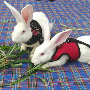 Kualitas Tinggi Grosir Pet Mesh Lembut Kucing Anjing <span class=keywords><strong>Harness</strong></span> dengan Tali Hewan Kecil Rompi Katun Memimpin untuk Hamster Kelinci Kelinci - Product Image 3