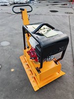 Compacteur à plaque vibrante thermique de haute qualité 80 kg, plaque 42x52 cm, efficacité 4-20 m/min, équipement de pavage pour asphalte et sol