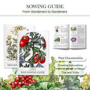 Jon Gardener 15 variétés d'herbes Collection jardin d'herbes parfait <span class=keywords><strong>pour</strong></span> le Royaume-Uni, y compris la <span class=keywords><strong>menthe</strong></span> basilic pots de fleurs jardinières Simple 15,000 <span class=keywords><strong>pour</strong></span> - Product Image 5