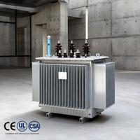 Transformateurs refroidis à l'huile S20 11kv/400v 3 phases 30 Kva à 2500 Kva 50/60Hz Transformateur toroïdal en cuivre/aluminium