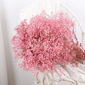 Prix bas, haute qualité, décoration de bouquet de mariage, fleurs séchées naturelles Gypsophila, toucher réaliste, Gypsophila préservée. - Product Image 6