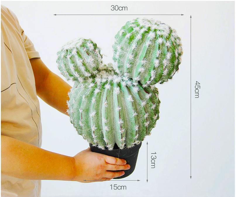 997 gros cactus à deux têtes aux cheveux blancs