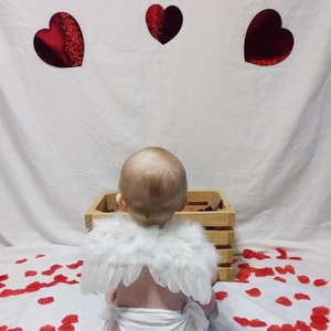 Accessoires de photographie pour bébés : Ailes d'<span class=keywords><strong>ange</strong></span> en plumes teintées, décoration pour animaux de compagnie et poupées, vente directe en gros pour tout-petits, performance optimale - Product Image 2