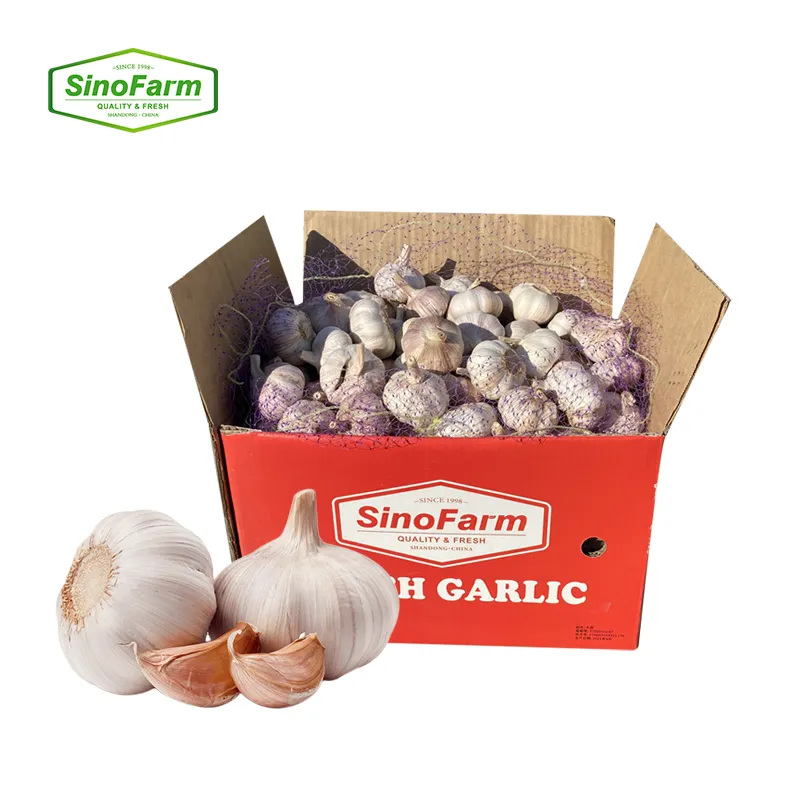 Sinofarm China fresh ail frais normal/pure white G1 red garlic seed 10kg ajo fresco Chino alho Chinese export low price with GAP