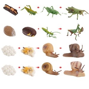 Simulazione del Ciclo di Crescita degli Animali in PVC, Giocattoli Educativi Montessori Fatti a Mano per Bambini: Pollo, Anatra, Oca, Farfalla, Tartaruga, Rana - Product Image 5