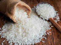 Riz Jasmin Long Grain Parfumé Séché Blanc Durée de Conservation 24 Mois Logo Acheteur 5kg 10kg 20kg 50kg Jumbo 1 Tonne Riz Au Jasmin Arroz