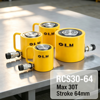 Vente en gros usine : Cylindre hydraulique à simple effet, basse hauteur, 30 tonnes, 700 bars, pour réparation de machines et pressage