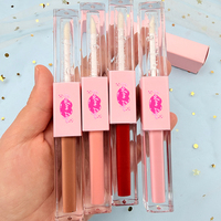Nouveauté : Kit Lèvres 2-en-1 Marque Privée – Rouge à Lèvres Liquide Mat Nude Longue Tenue et Gloss Transparent Crème avec Crayon à Lèvres