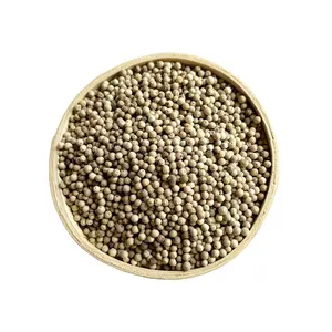Good Price pepper spices & herbs products Professional Factory Raw Organic Dried Indonesia Origin White Pepper