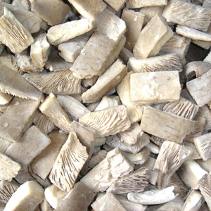 Esportazione all'ingrosso di funghi di ostrica freschi crudi 1kg IQF Pleurotus Ostreatus surgelato fonte coltivata per gli acquirenti - Product Image 2