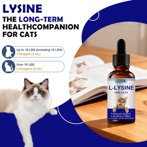 健康液滴用L-リジンキャットドロップス免疫強化剤無料サンプルドロップ - Product Image 6