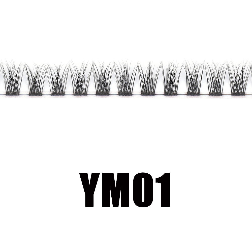 YM-01