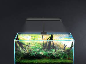 Control <span class=keywords><strong>de</strong></span> aplicaciones espectro completo color <span class=keywords><strong>agua</strong></span> <span class=keywords><strong>dulce</strong></span> plantado RGB 3 en 1 luz LED para acuario - Product Image 3