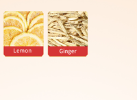 OEM/ODM Wholesale Natural Lemon & Ginger Tea Bagged Customized Private Label Herbal Flavor Tea