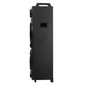 2025 Diamond Hot Sale Wood Best Double 12 Inch Super Bass Portable Hifi Bass Vibration Speaker with Wired Microphone - Product Image 4