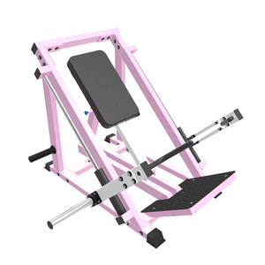 Mesin baris linier, peralatan Gym latihan kekuatan <span class=keywords><strong>Lateral</strong></span> latihan punggung mesin dayung - Product Image 2