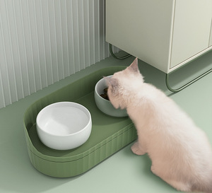 Cuenco para gatos de gran capacidad de doble capa, utensilios de comida para mascotas antisalpicaduras, cuenco de cerámica grueso para alimentación de gatos con personalidad creativa - Product Image 3