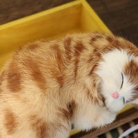 Adorables poupées de chatons blancs et oranges, aspect réaliste, animaux en peluche, jouets en peluche, cadeaux pour enfants, animaux