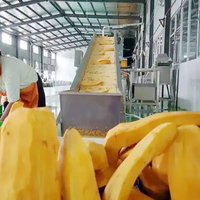 Poudre végétale pure de citrouille de poudre de qualité fiable faisant la machine