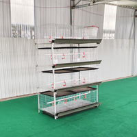Cage à poulets de chair à 4 niveaux en acier galvanisé, capacité 60/80 poulets adultes, à vendre