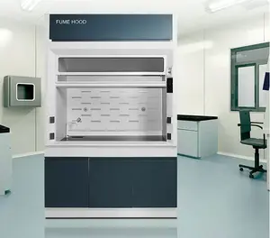 Laboratory Bench Horizontal Laminar Flow Hood Airflow Exhaust Fume Hood for lab use