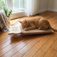 Grattoir pour chat en bois de pin naturel avec plateau en sisal, jouet pour chat