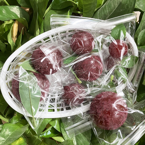 Jouet de décompression musical créatif en forme de fruit Yangmei, jouet sensoriel à pincer en forme de Yangmei - Product Image 4