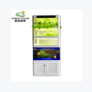 Indoor Play Structures Commercial Agricultural Production Hydroponic Grow Systems for Plant Lettuce and Strawberry