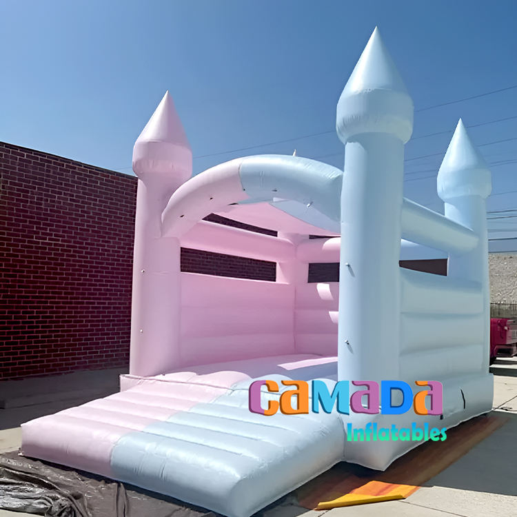 สีขาวหรือสีพาสเทล