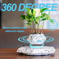 Magnétique Lévitation Bonsaï Plante Flottante en Bois Personnalisé DIY Décoratif Air Bonsai Cup