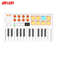Cross-border 25-key MIDI Keyboard Professional Electronic Music Controller Smart and Portable Composition Drum Pad ABS Material